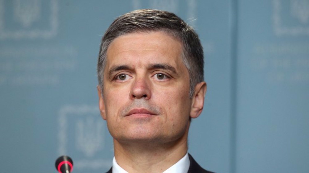 Pushed on backfoot, Ukraine envoy says Kiev may drop NATO ambitions