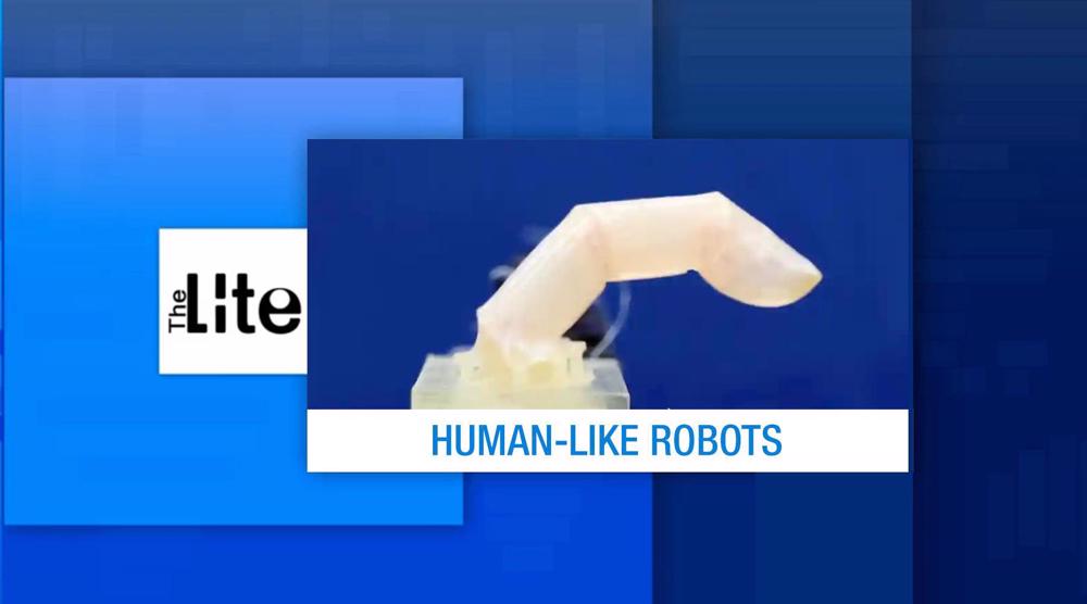 Press TV The Lite Bulletin