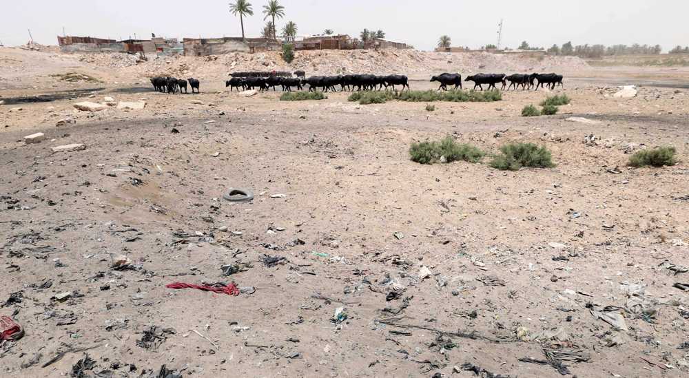 Iraq urges Turkey to release more water into Tigris, Euphrates