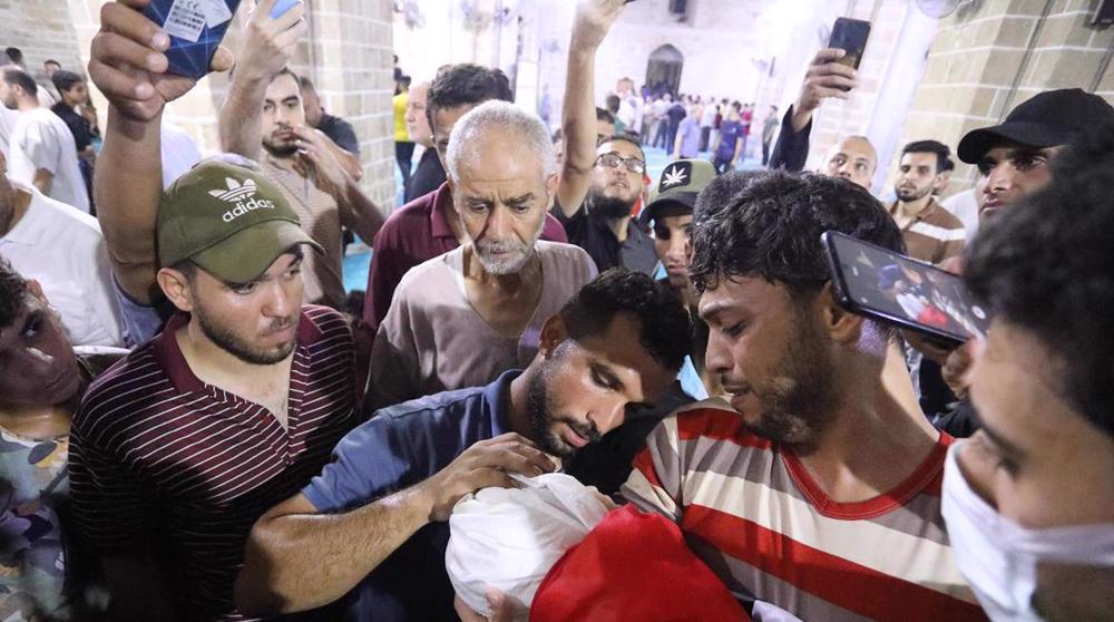 Norwegian Refugee Council urges immediate ceasefire in Israeli war on Gaza