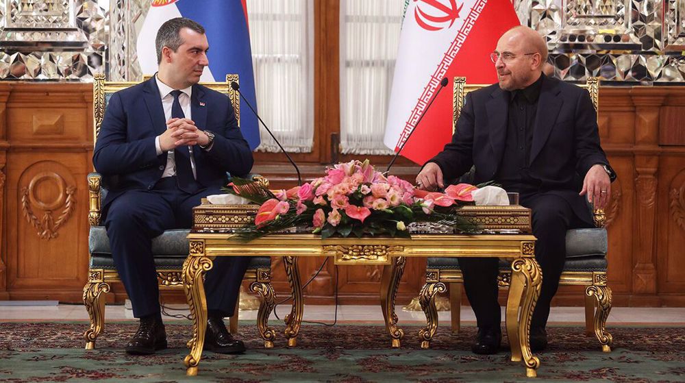 Iran, Serbia share common positions at global level: Parl. speaker