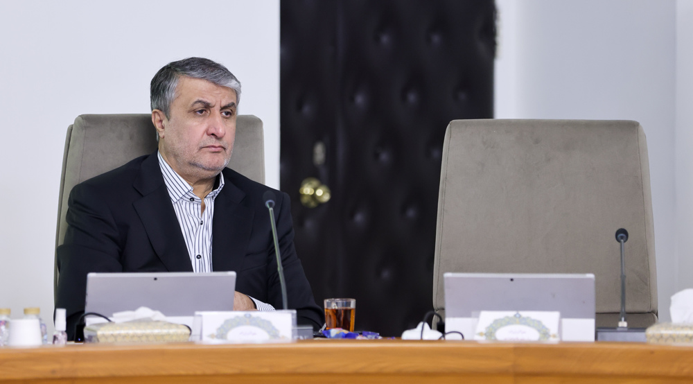Iran’s interactions with IAEA based on safeguards agreement, NPT: Nuclear chief