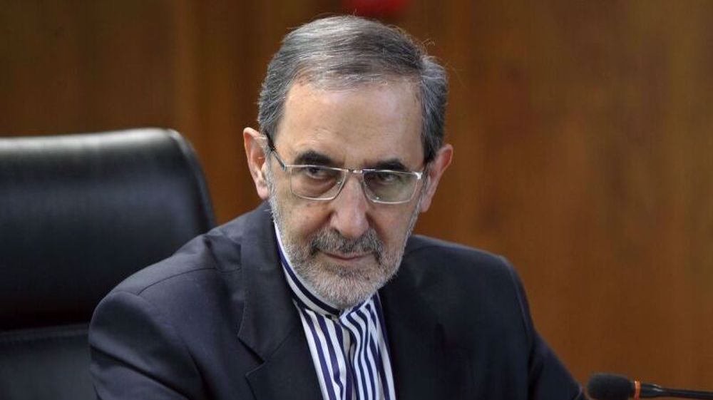 Leader's advisor: Resistance movement's victories source of pride for Muslim world