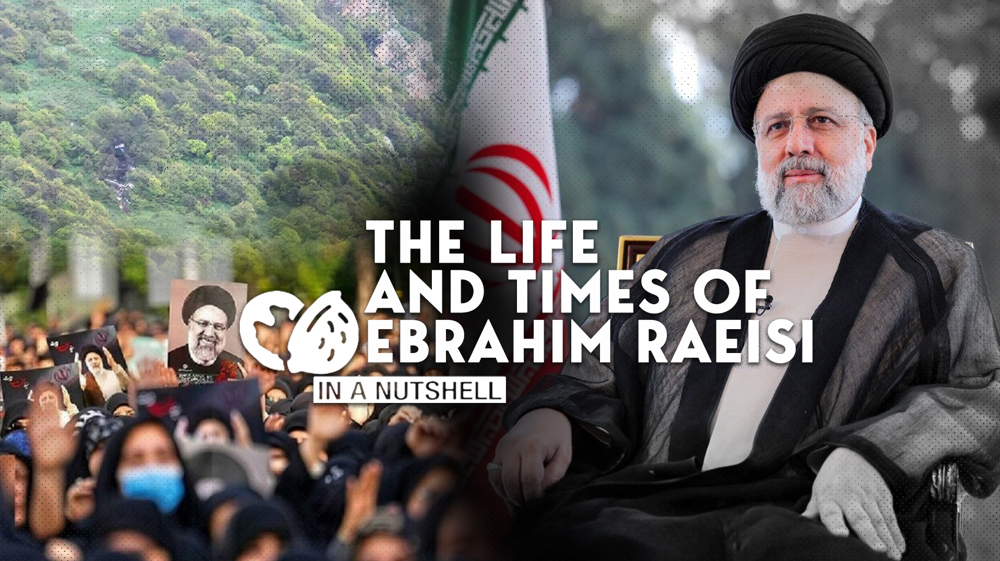 The life and times of Ebrahim Raeisi in a nutshell