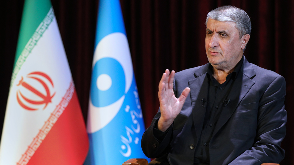 Iran breaks monopoly in nuclear products, services, manages to export despite sanctions