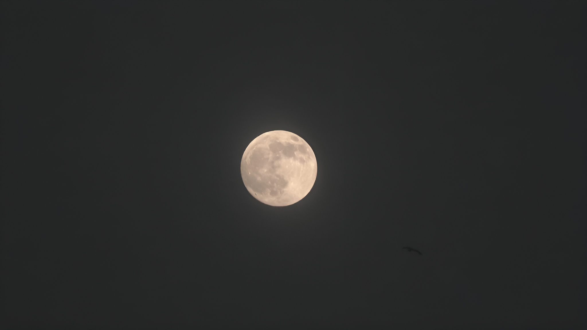 Harvest supermoon lights up Pakistan's coastal city Karachi