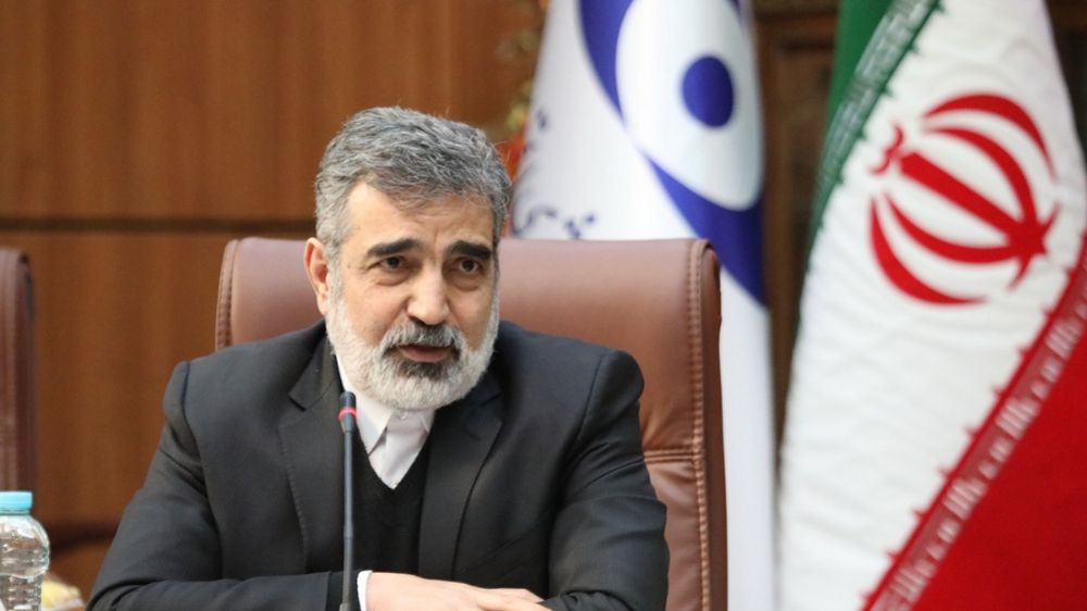 IAEA deputy chief to visit Tehran for technical discussions: Iran nuclear spox