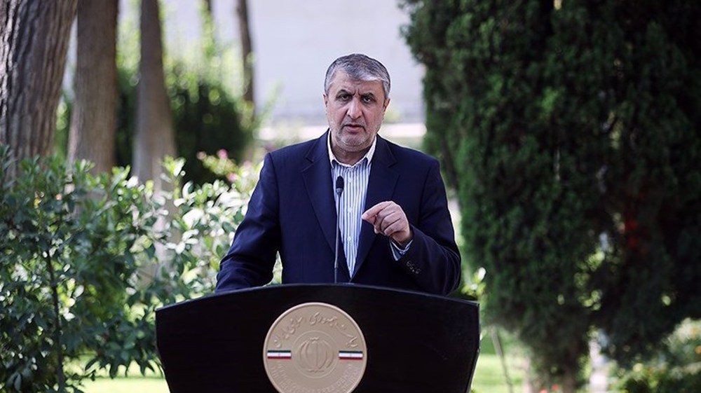 Nuclear chief Eslami: IAEA report of Iran's non-compliance ‘big lie’