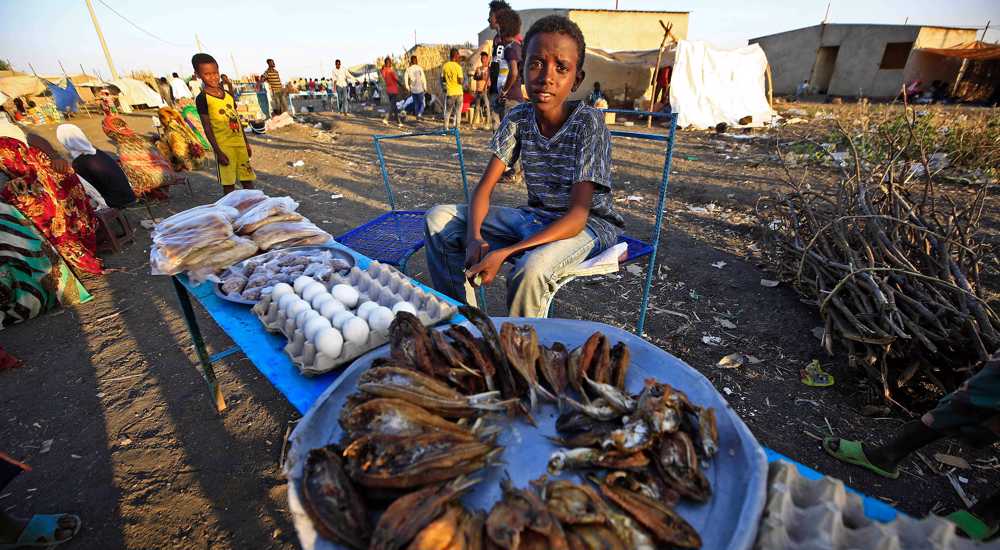 Refugees in Ethiopia's Tigray to run out of food shortly without assistance: UN