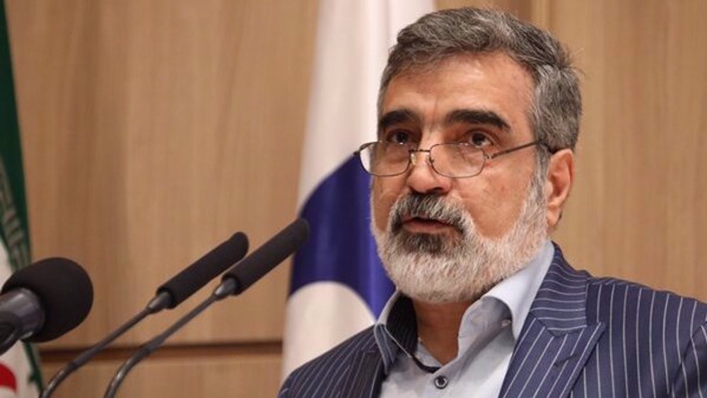 Iran nuclear agency suspects same perpetrators behind Natanz incident, scientist killing