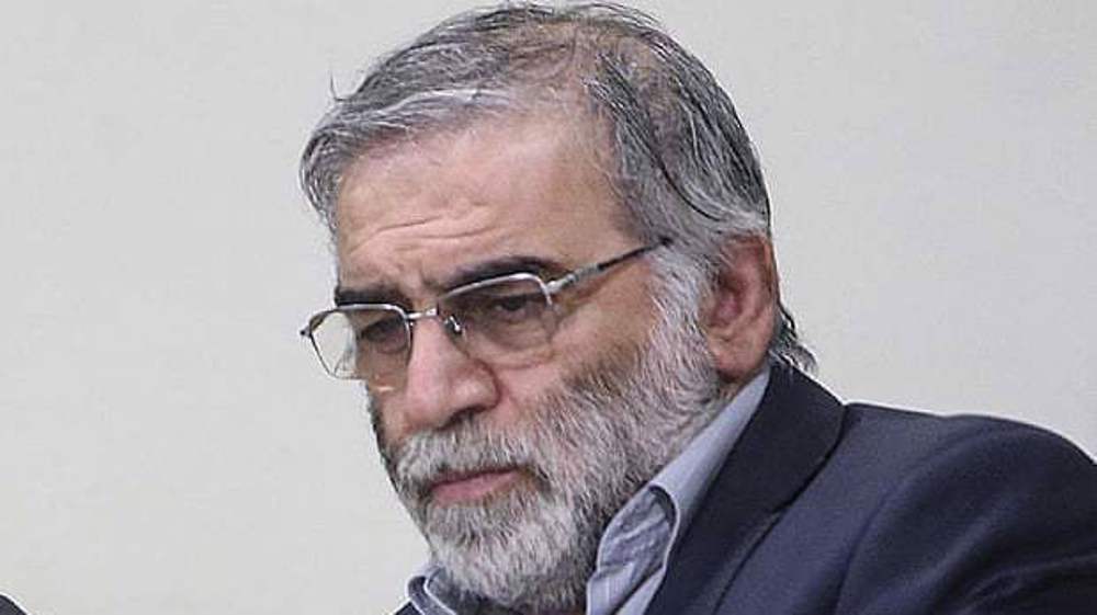 Scientist assassination show enemies’ fear of Iran advances