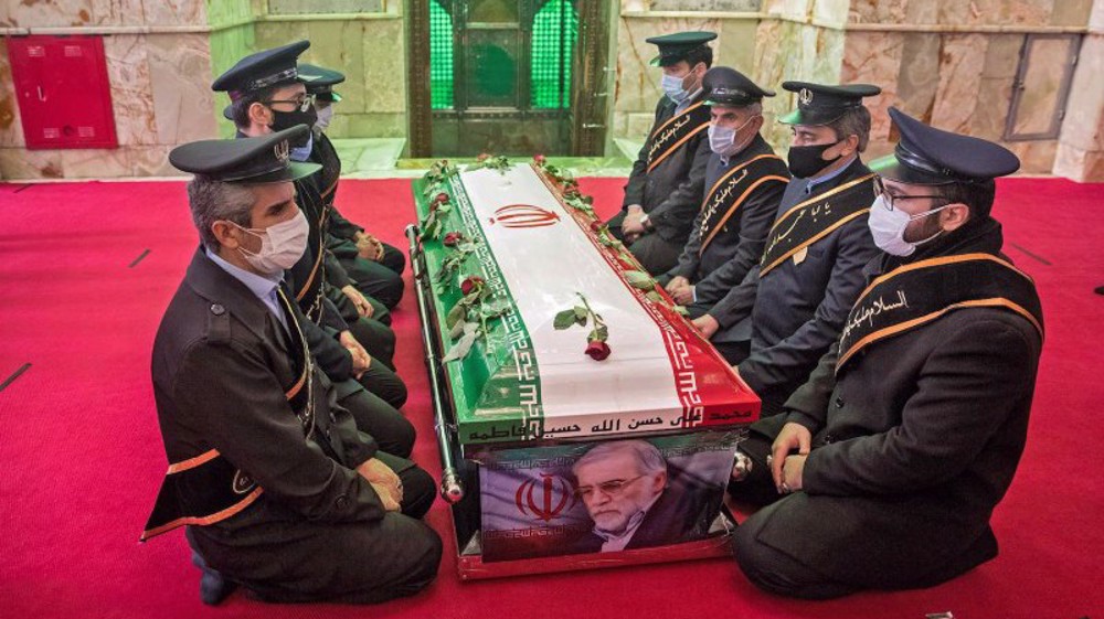 ‘Iran identifies individuals involved in scientist assassination’