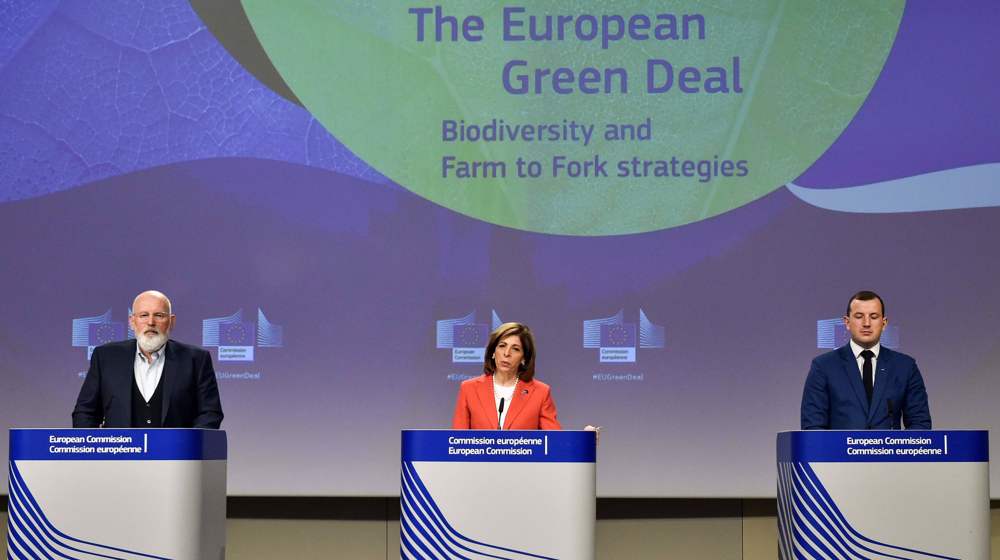 Years of austerity for EU citizens in wake of COVID-19