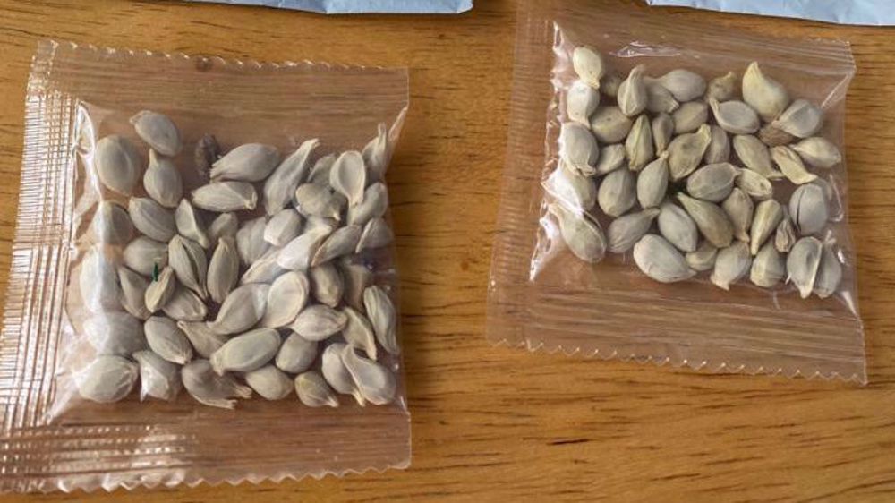 'US citizens receive mysterious seeds mailed from China'