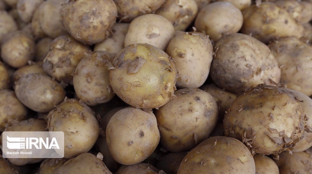 Iran cuts potato export tariff to zero