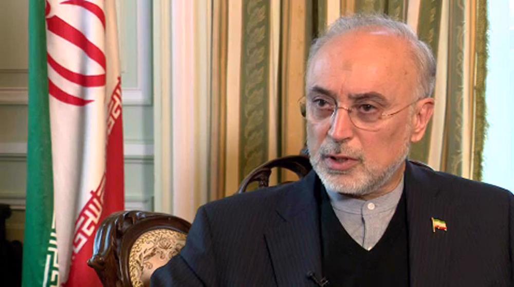 IAEA’s demands over after inspection of two sites: Iran’s Salehi