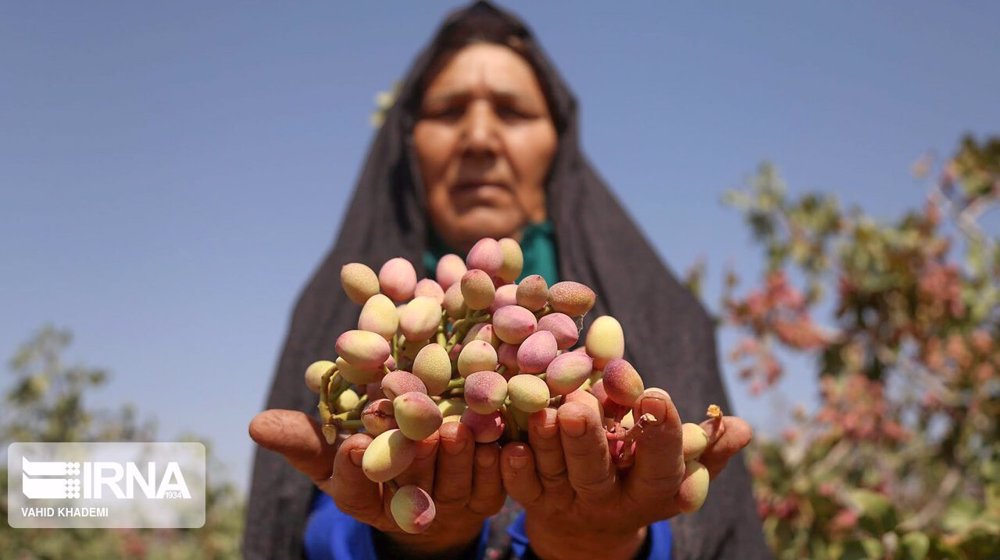 ‘Iran agrifood exports top $2.13bn in 5 months to August’