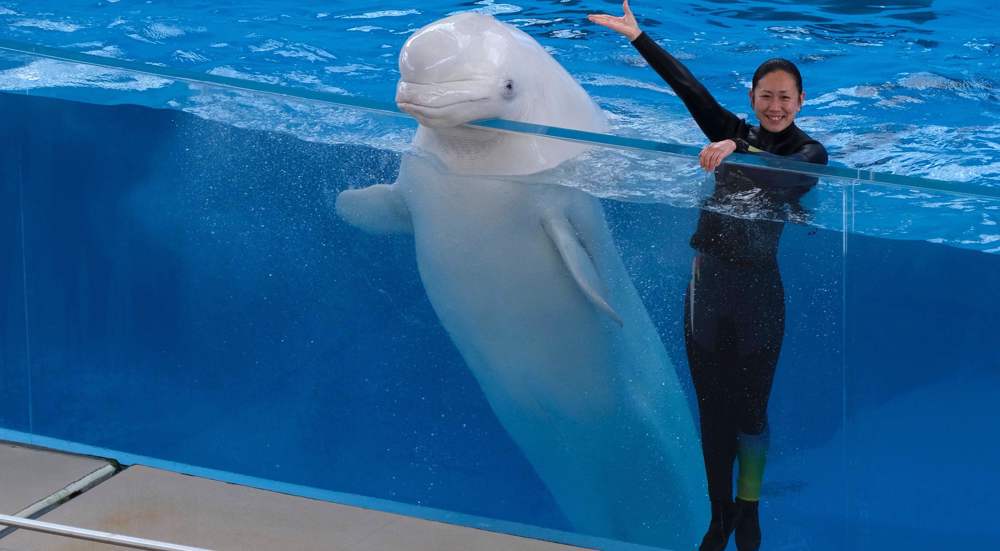 Animal rights group sues US government