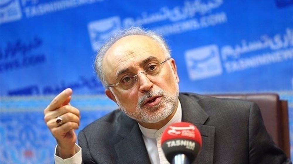 Iran building hall for advanced centrifuges near Natanz nuclear site: AEOI