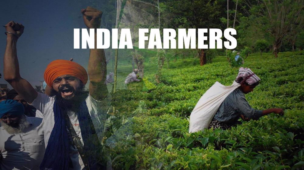India farmers