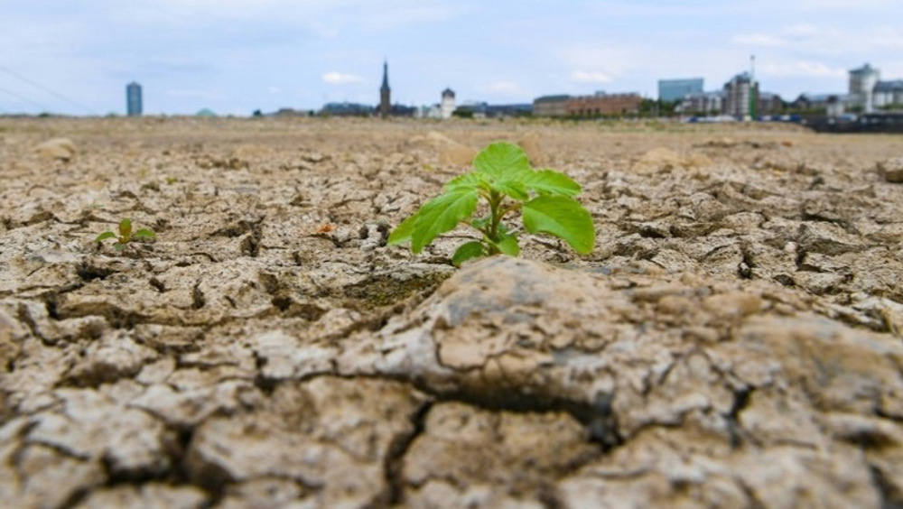 Two-thirds of world see ‘climate emergency:’ UN survey