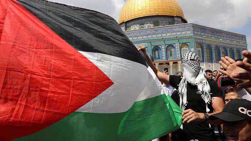 Irish lawmaker: Israel is an apartheid regime