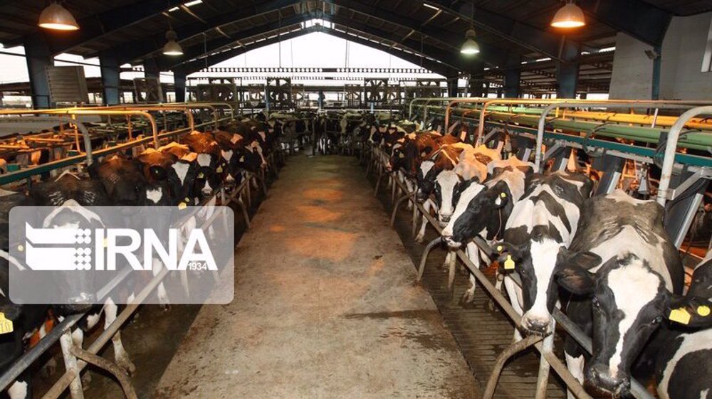 Iran fully relying on home-grown vaccines against FMD