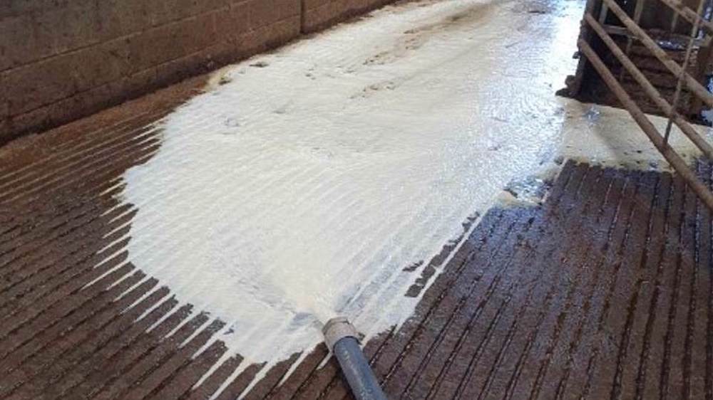 UK dairy farmers forced to pour thousands of liters of milk away