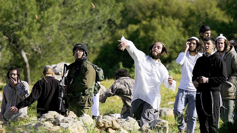 Israel uses settler violence as ‘strategy’ to expel Palestinians from West Bank: NGO