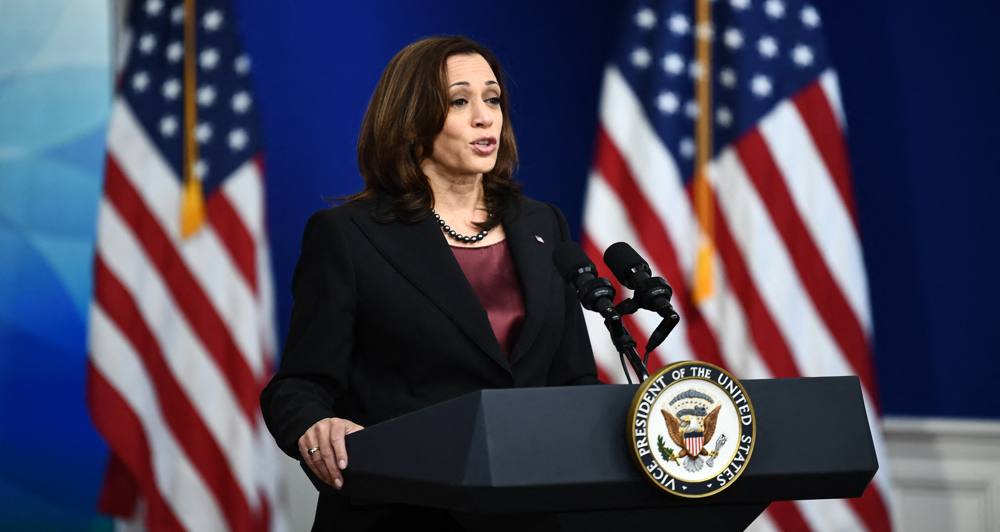 Texas Rep. calls for VP Harris replaced as 'border czar' amid migrant crisis 