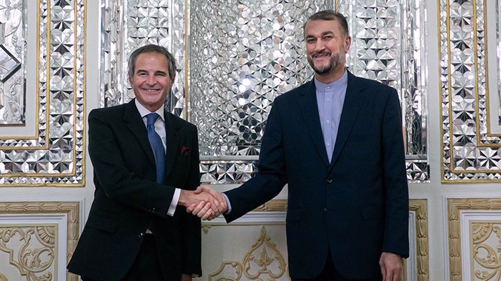 Iran, IAEA agree in principle to resolve technical issues: FM