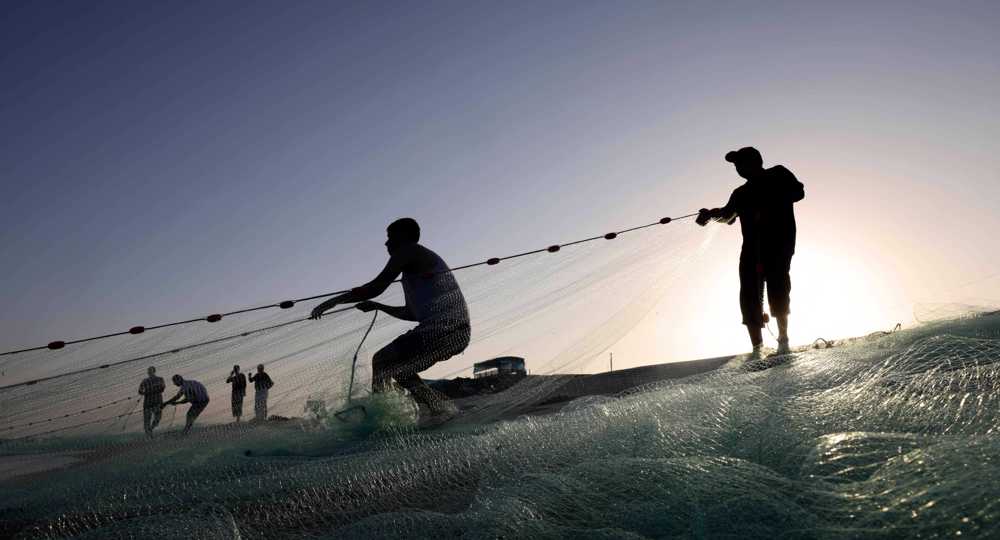 Israel attacks Gaza farms, fishermen as settlers defile al-Aqsa mosque
