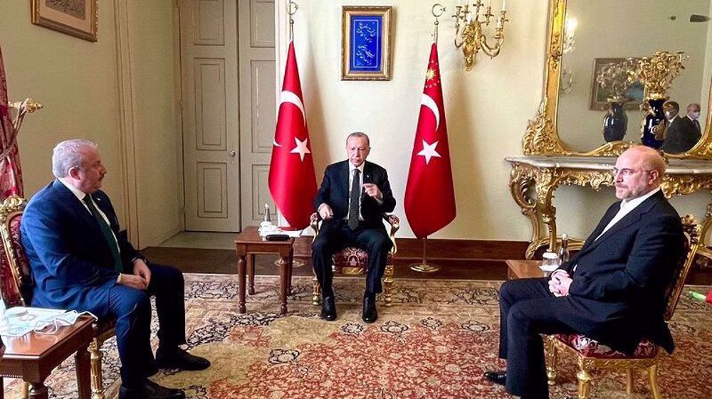 ‘Agreement within reach in Vienna if major powers respect others' interests’