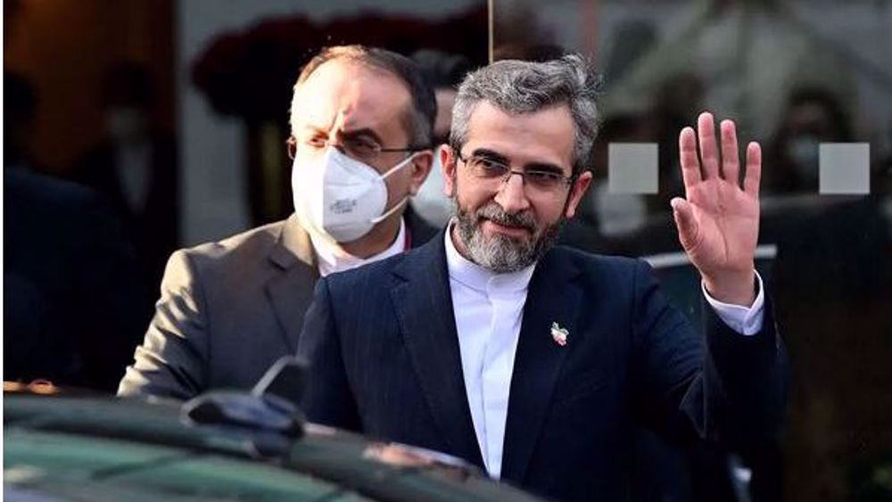 'Vienna talks very serious, I’m optimistic about agreement'