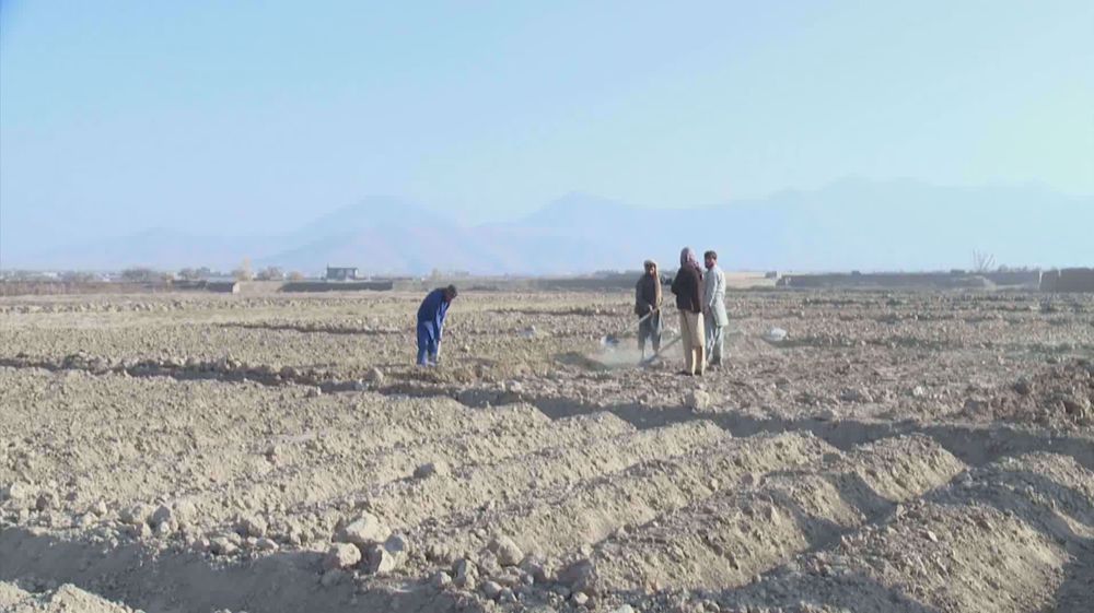 Drought in Afghanistan accelerating humanitarian crisis