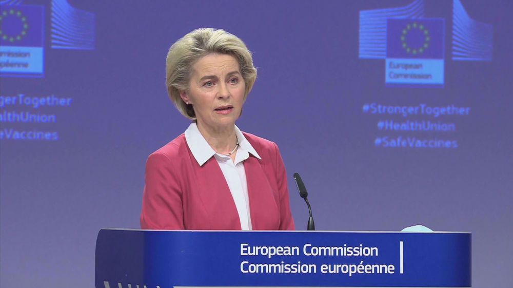 EU divided over efforts to contain COVID-19