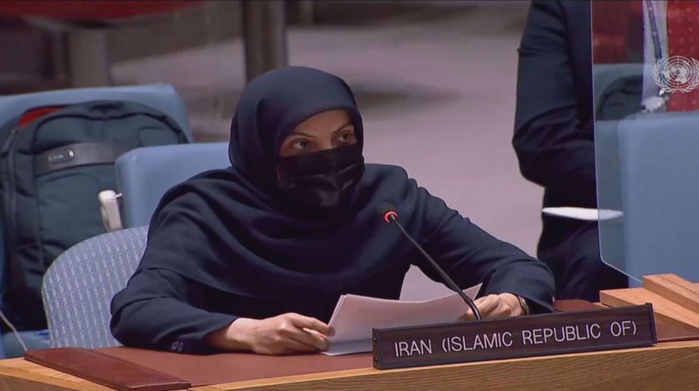 ‘UNSC must compel Israel to end occupation of Golan, stop aggression against Syria’