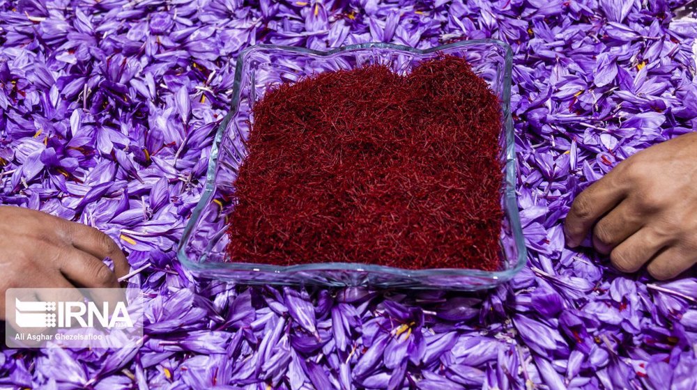 China top customer of Iranian saffron in March-October: IRICA