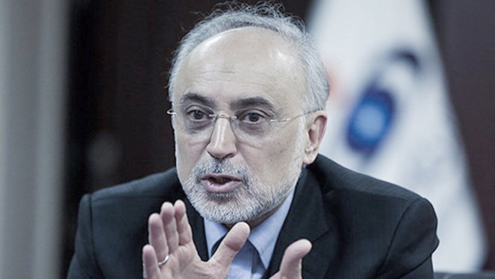 Iran will react if IAEA Board adopts negative resolution: Official