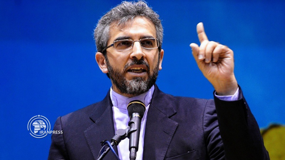 Rights official: Iran to appoint special rapporteur on impact of illegal US sanctions