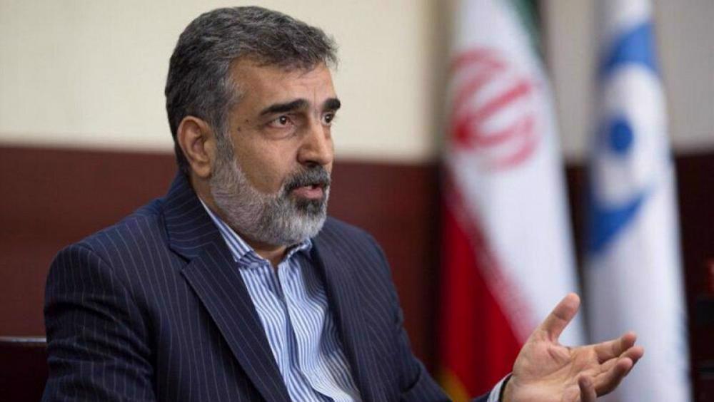 Delay in removing sanctions benefits Iran, harms West: AEOI