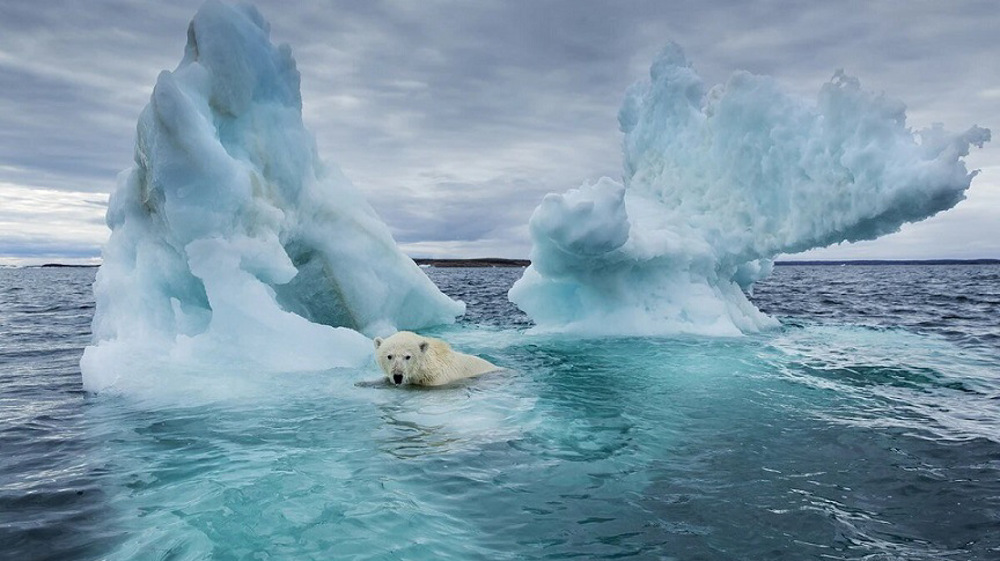 ‘Doomsday’ climate tipping points have wiggle room: Study