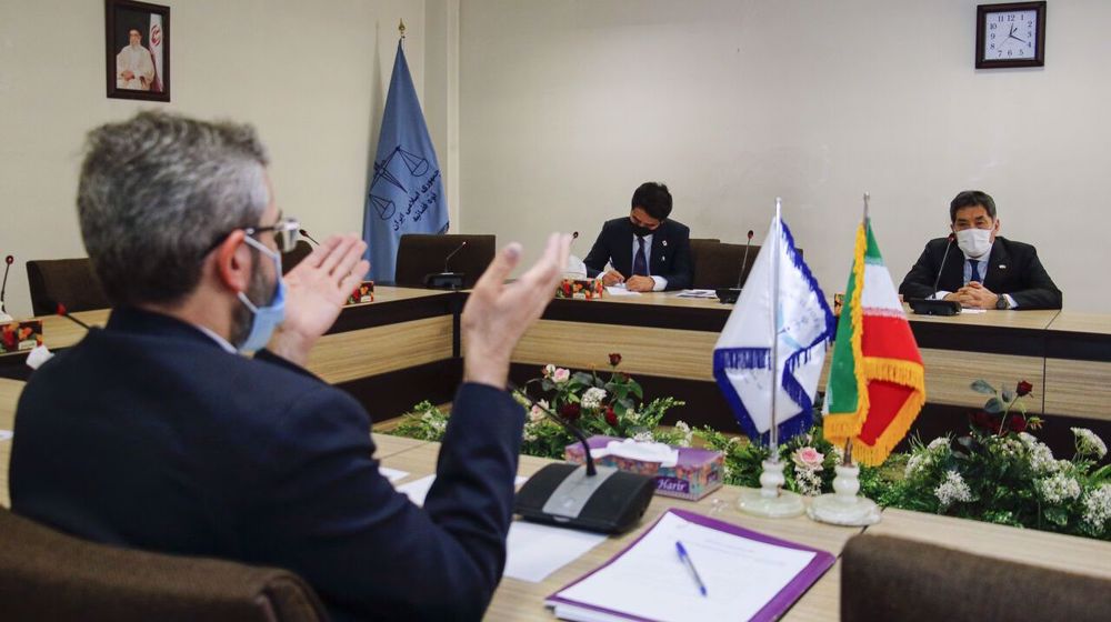 Iran, Japan main victims of WMDs in 20th century: Rights official