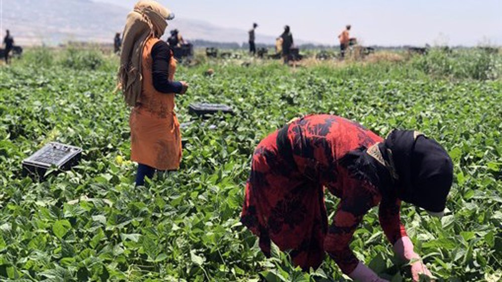 ‘Drug fight not real excuse behind Saudi ban on Lebanon imports’