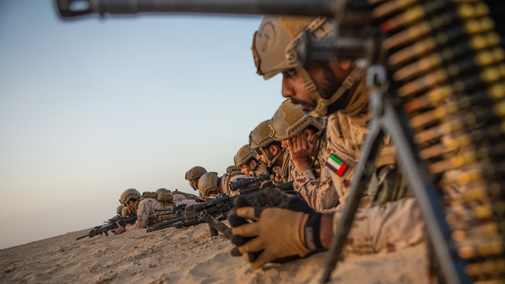 UAE after controlling Yemeni ports via military presence: Expert