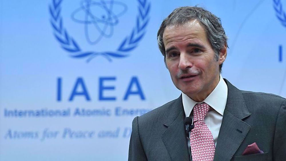 IAEA chief: Reviving Iran deal needs political will from all co-signatories