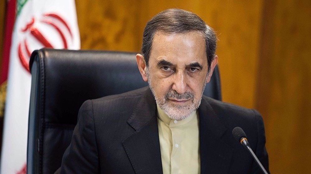 ‘Perpetrators of crimes against Yemen should be brought to justice’