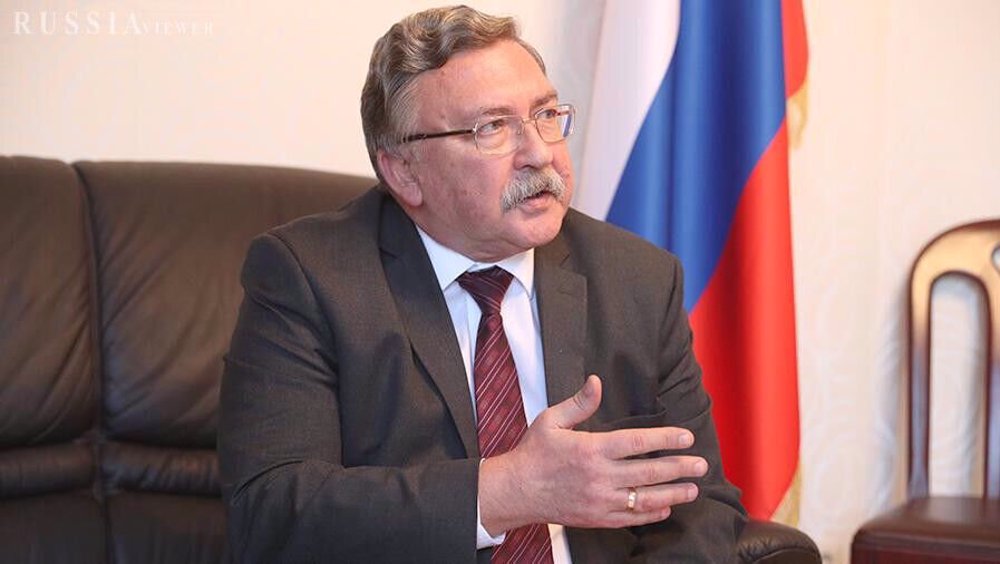 Russia rejects ‘speculations’ Bushehr nuclear plant can affect Vienna talks 