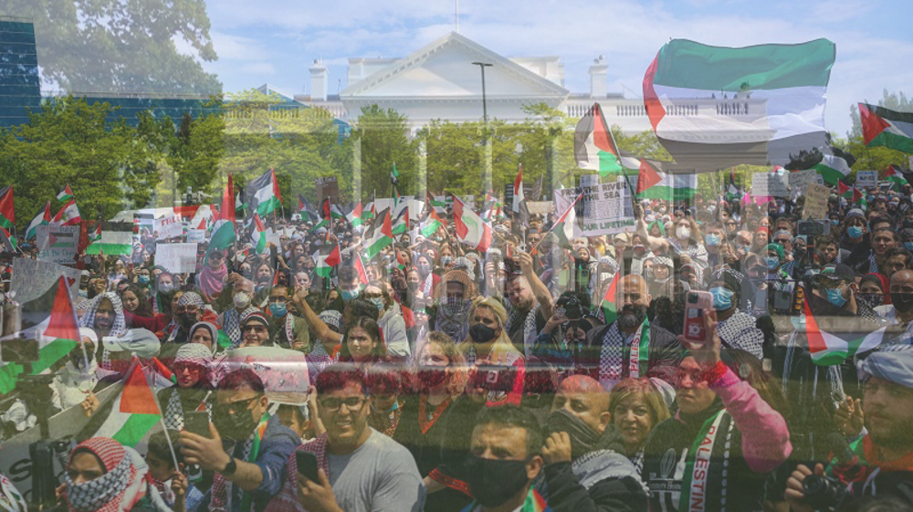 US march in solidarity with Palestine