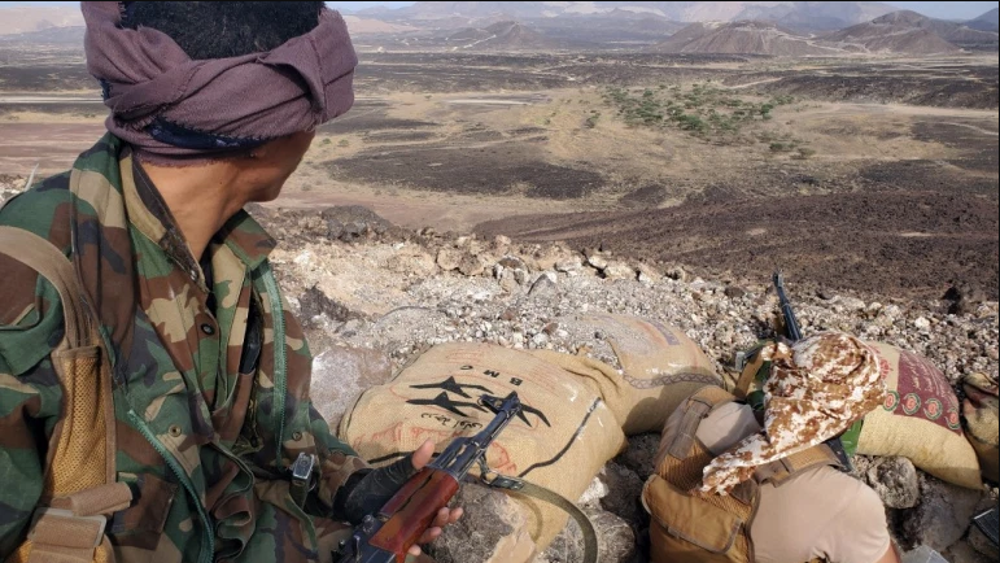 Ansarullah welcomes probe into civilian deaths claim
